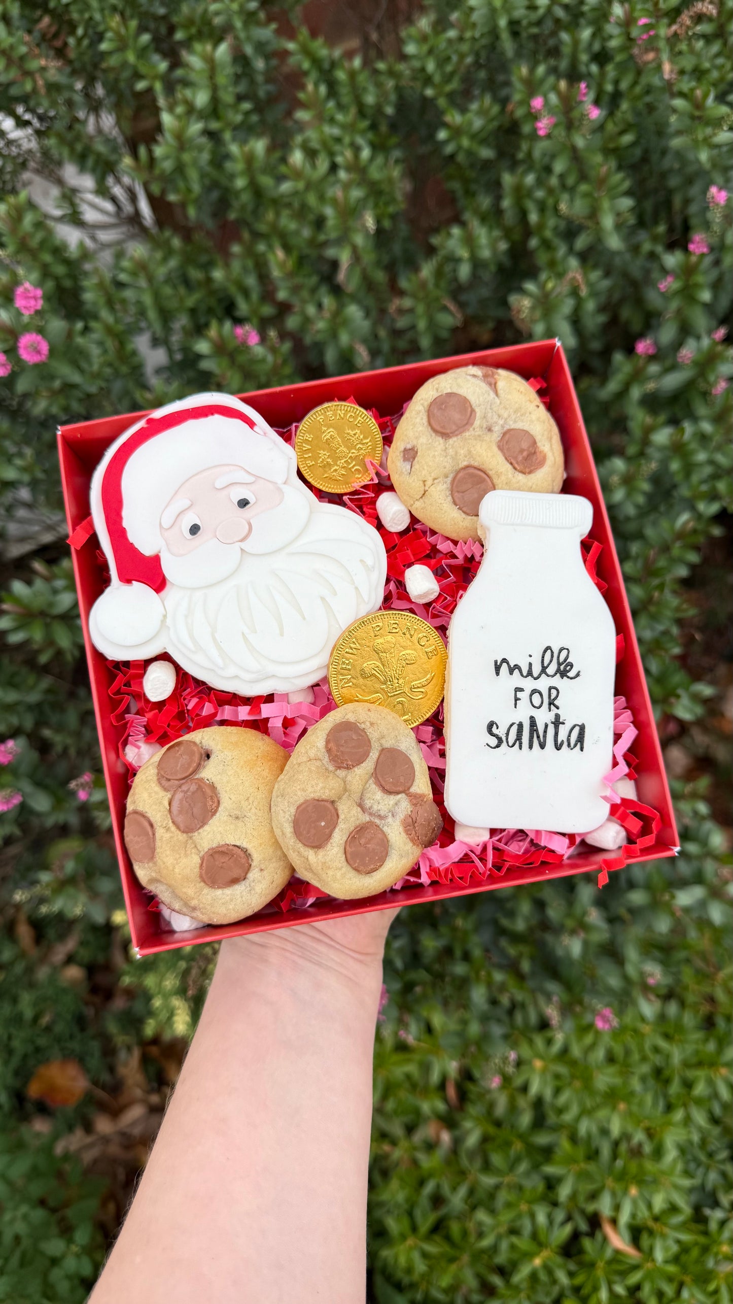 Santa’s Christmas Eve Treat Box